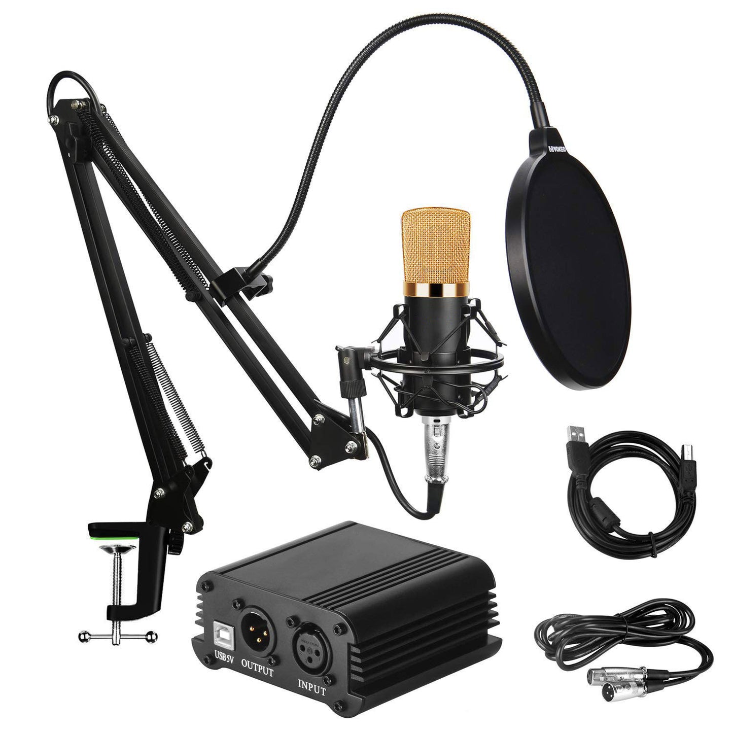 Shouting Microphone Recording Live K Song Podcast