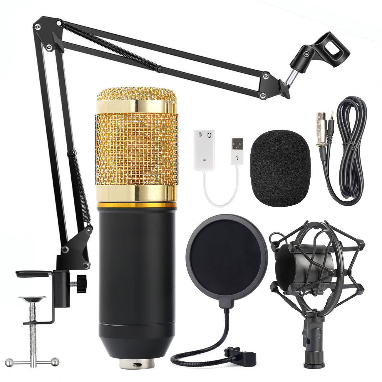 Shouting Microphone Recording Live K Song Podcast